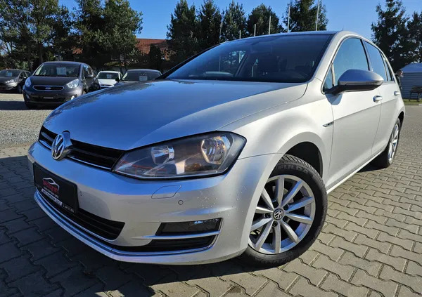 volkswagen gniewkowo Volkswagen Golf cena 41990 przebieg: 171000, rok produkcji 2015 z Gniewkowo